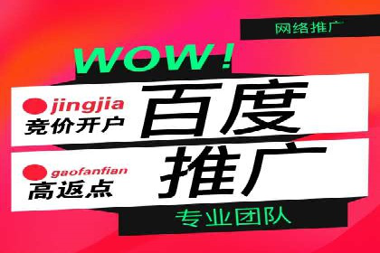信息流广告代理效果案例展示